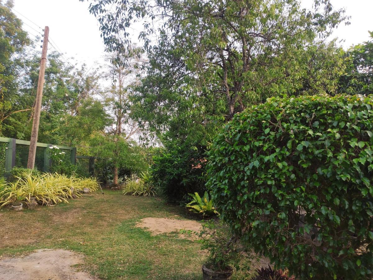 Bird House Homestays Тангале Екстериор снимка